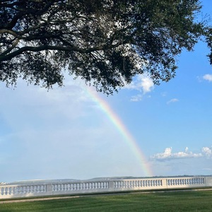 Tampa, Florida Promise Walk 